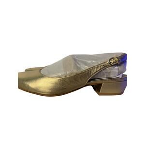 Banks Pointed Toe Flat  9 1/2